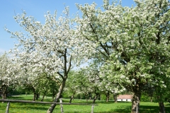 Auszeitplatz Umgebung (2)