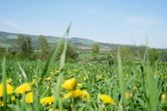 Auszeitplatz Umgebung (6)