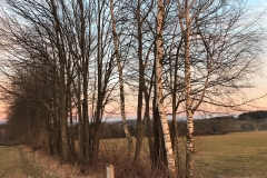 Auszeitplatz Umgebung